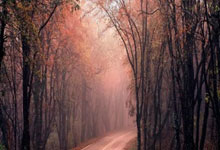 [国际足球]内马尔角球直接破门领衔一周十佳进球.