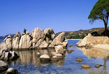 势不可挡，皇家贝蒂斯豪取西甲联赛五连胜.